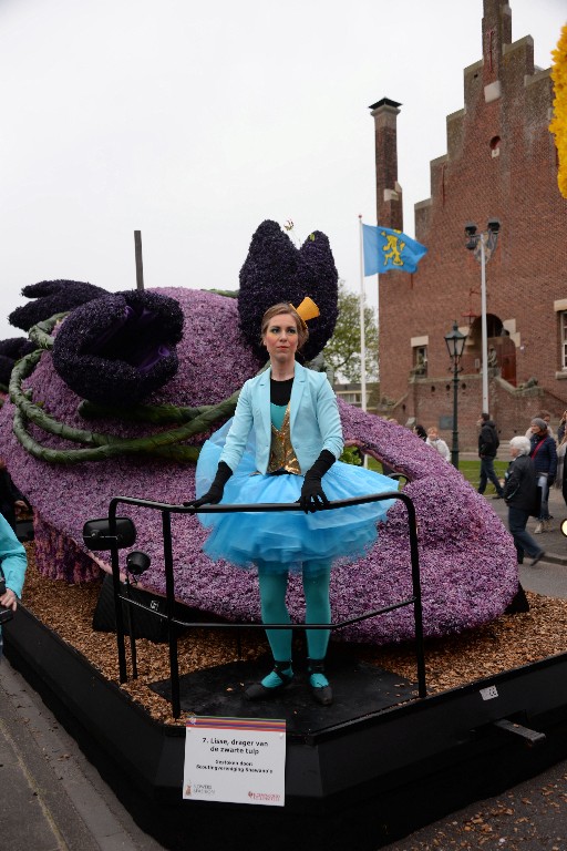 ../Images/Bloemencorso Noordwijkerhout 104.jpg